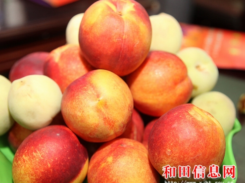 瓜果飄香